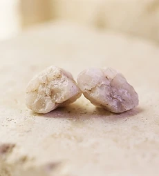 Two pale stones resting together