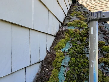 Heavy moss growth in a roof valley against a side wall