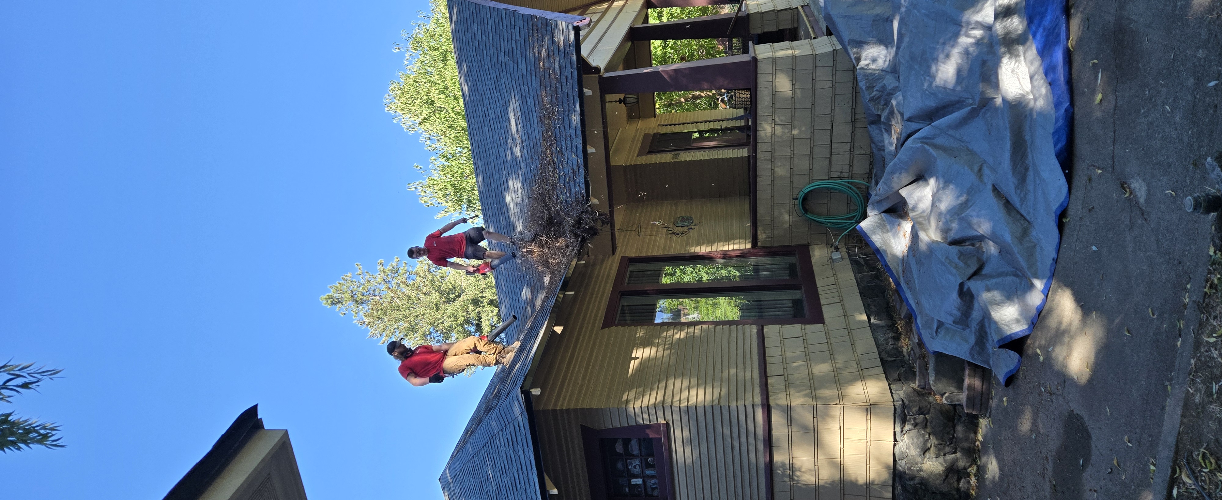 Two ALPHA roofers clearing leaves and pine needles from a shingle roof