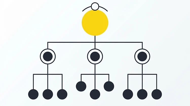 Org Charts Explained: Tall, Flat, Matrix, and Project-Based Structures