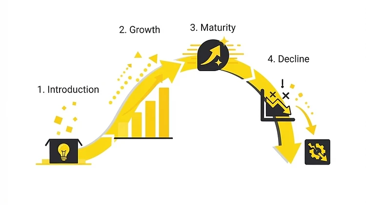 The Product Life Cycle: Where Is Your Product and What Comes Next?