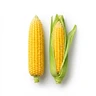 Corn