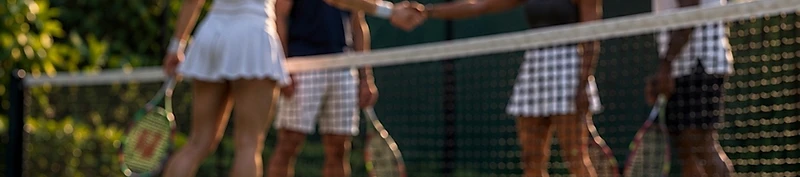 Players shaking hands over the net