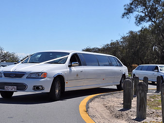 Twin White Limousines, seating for 20 passengers