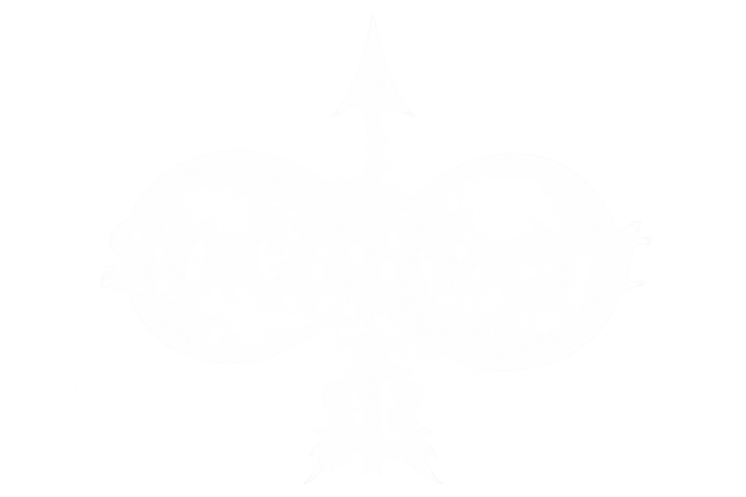 SocialVert logo