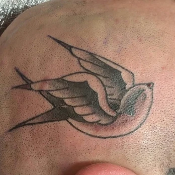 Traditional black and grey tattoo of a swallow in flight with bold outlines, layered wing feathers and a long forked tail
