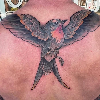 Neo-traditional tattoo of a bird in flight with charcoal wings tipped in gold and a soft pink chest, on an upper back
