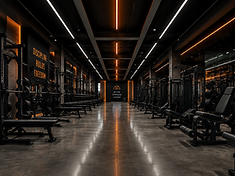Palestra realizzata da BullsWorkOut