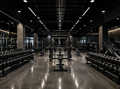 Palestra realizzata da BullsWorkOut