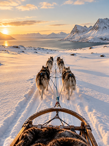 Dog Sledding