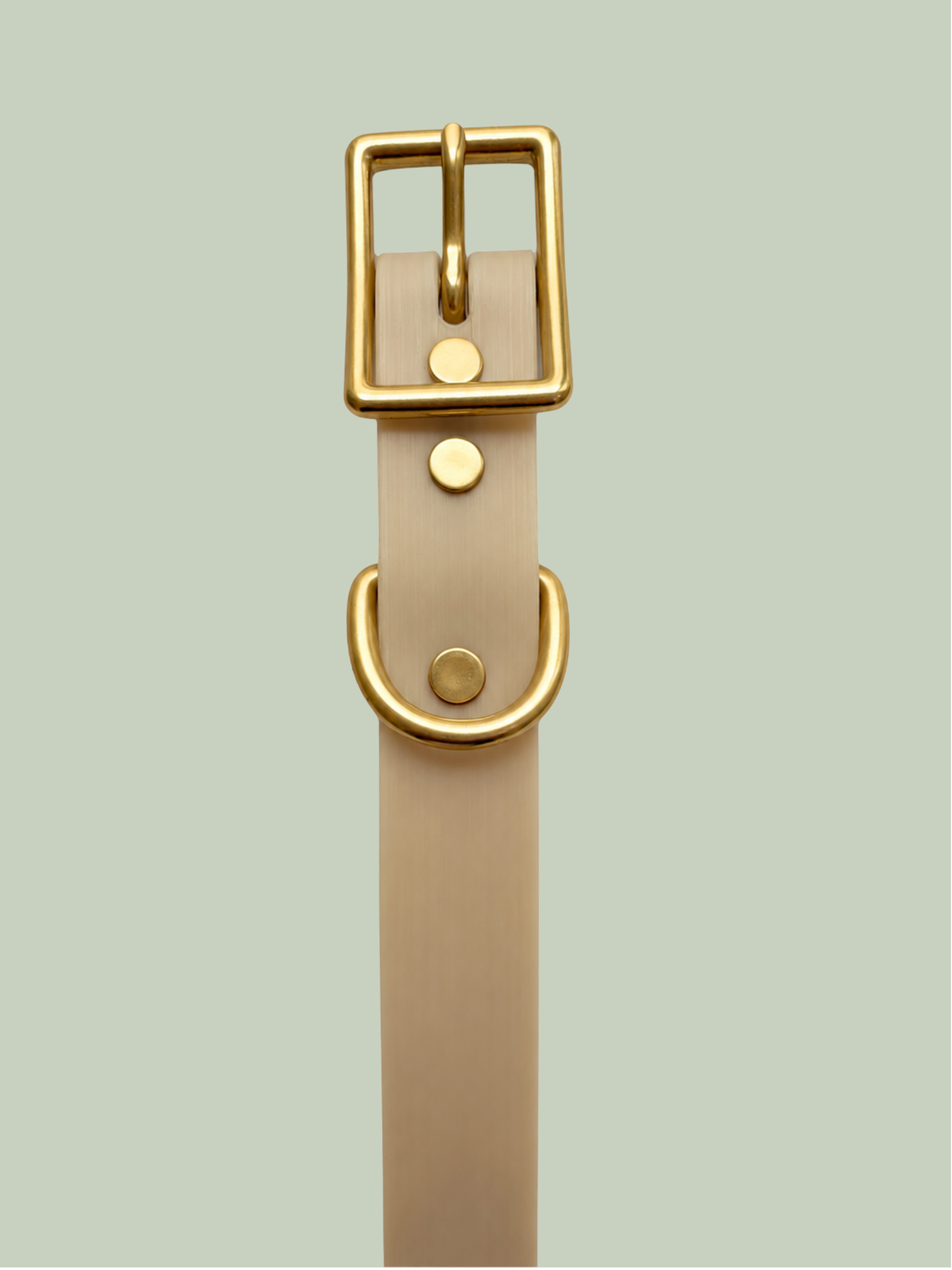 Cream plant-based dog collar, shown with solid brass and iridescent rainbow hardware.