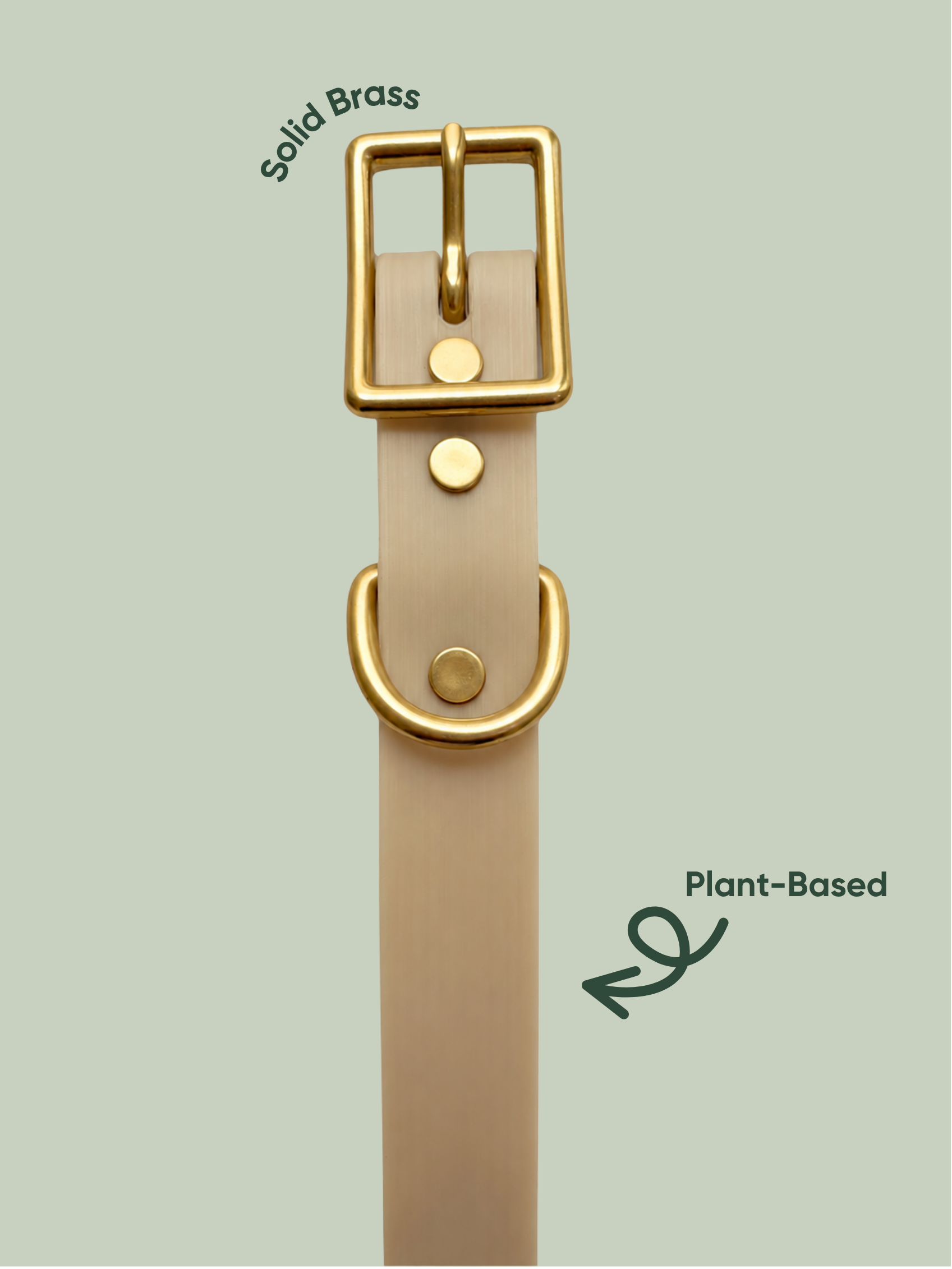 Cream plant-based dog collar, shown with solid brass and iridescent rainbow hardware.