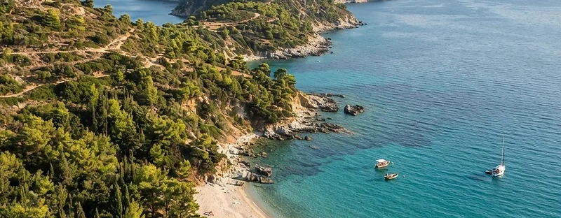 Pine forest coming down to pale sand and shallow turquoise water on the coast of Halkidiki, with a long headland beyond.