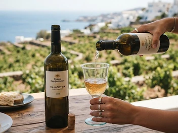 Malagousia, a wine from Greek, Greece