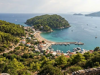 Pine forest running down to sandy bays and a small harbour on Skiathos, seen from the hillside.