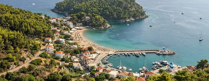 Pine forest running down to sandy bays and a small harbour on Skiathos, seen from the hillside.