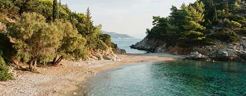 The small pebble and sand bay at Stafylos on Skopelos, flanked by pine-covered slopes.