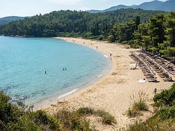 The wide sandy beach at Koukounaries on Skiathos, backed by dense pine forest.
