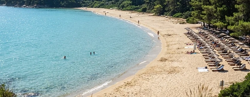 The wide sandy beach at Koukounaries on Skiathos, backed by dense pine forest.