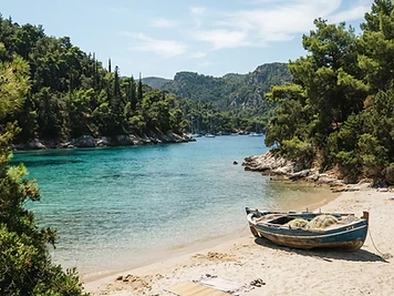 The sandy pine-backed bay at Kastani on Skopelos, with a boat drawn up on the shore.
