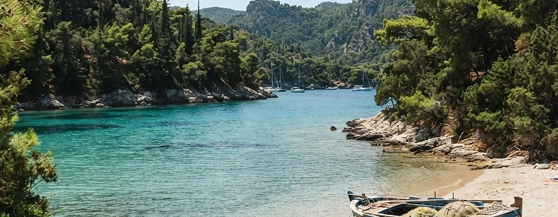 The sandy pine-backed bay at Kastani on Skopelos, with a boat drawn up on the shore.