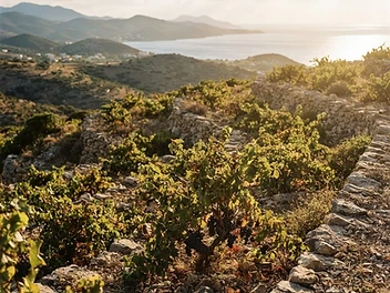 Crete, a wine region from Crete, Greece