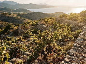 Crete, a wine region from Crete, Greece