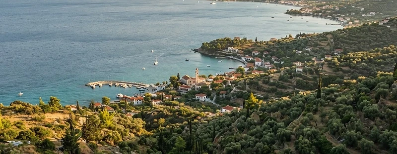 Olive groves running down to a wide bay on Lesvos, with villages and mountains beyond.