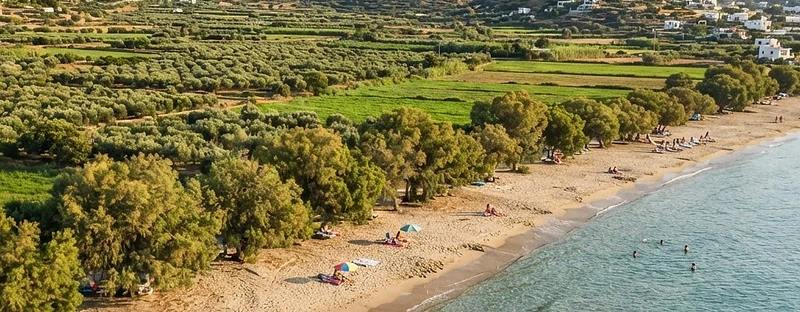 A broad sandy beach with shallow water on the coast of Kos, tamarisk trees and low green hills behind.