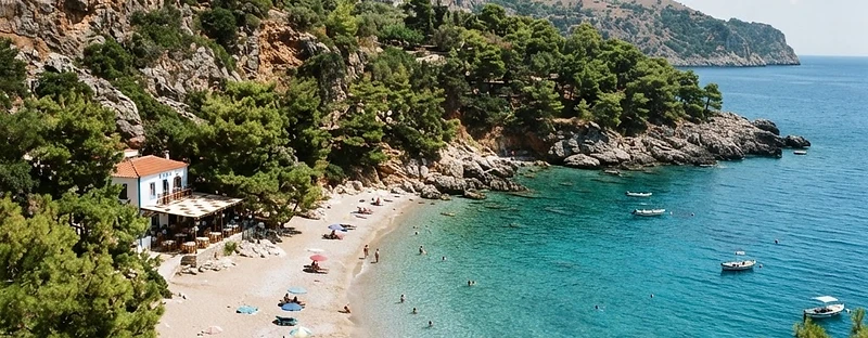 The bay at Apella on Karpathos, pale sand and pebbles with pine trees coming down to clear turquoise water.