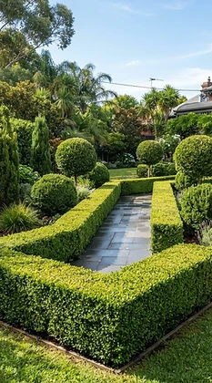 Hedge Trimming