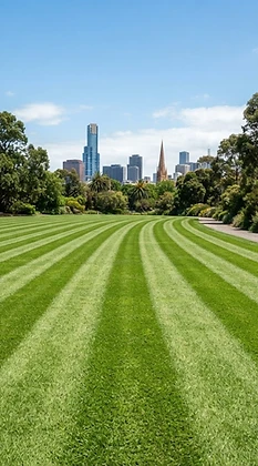 Lawn Mowing