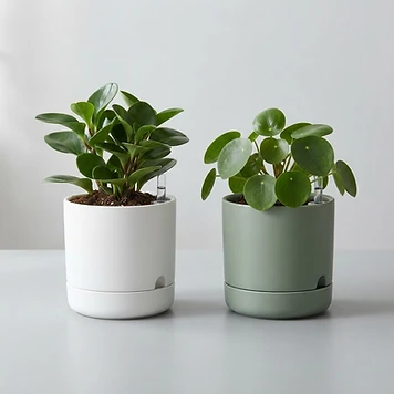 SnapPod Self-Watering Planter Duo