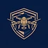 Sentinel Drones