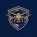 Sentinel Drones