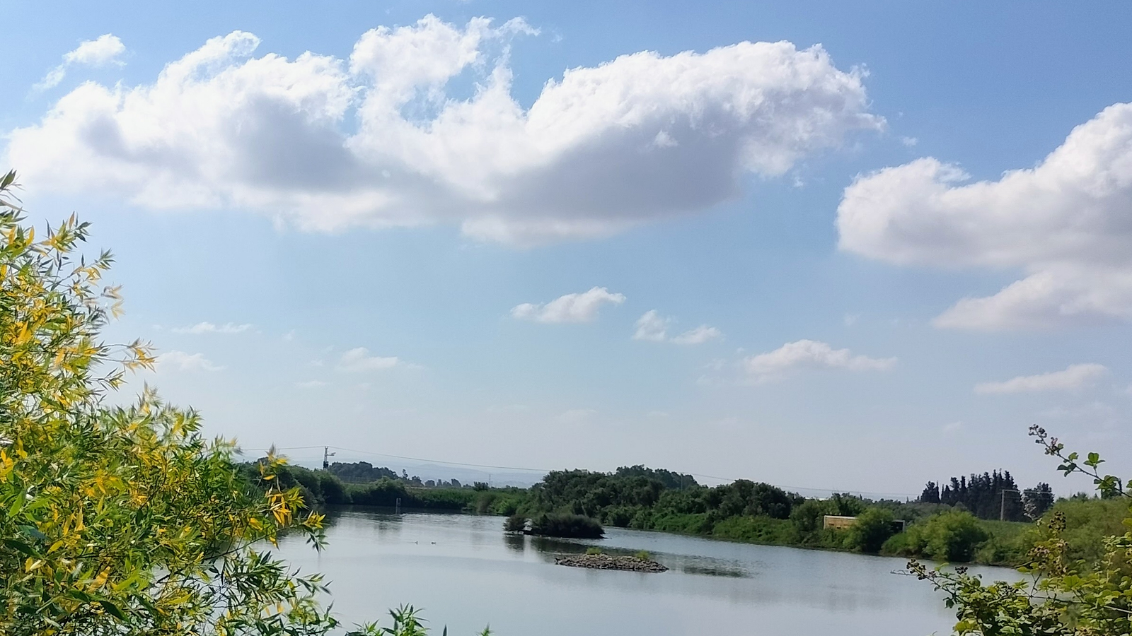 נוף שליו ומרהיב נשקף אל מימיו השקטים של אגמון חפר, כאשר צמחייה ירוקה עוטפת את המסגרת ומעניקה תחושת עומק. בשמיים בהירים מעוטרי עננים רכים, משתקפת דמותו של האגם, בעוד במרכזו ניתן להבחין בנקודות זעירות של עוף מים הנהנה מהסביבה הטבעית והפסטורלית המאפיינת את האזור ביום שטוף שמש זה.