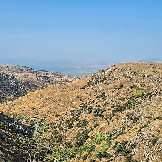צילום נוף רחב ידיים המתאר ערוץ נחל עמוק המוקף בגבעות צחיחות למחצה, המעוטרות בצמחייה ים-תיכונית נמוכה. השמים הצלולים והתאורה העילית מדגישים את קווי המתאר הטופוגרפיים ואת המרקמים הסלעיים של המדרונות. הקומפוזיציה מנצלת את עומק השדה הרב כדי ליצור תחושת מרחב, כאשר הערוץ מוביל את העין אל עבר האופק הרחוק.