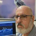 רפי תלמוד