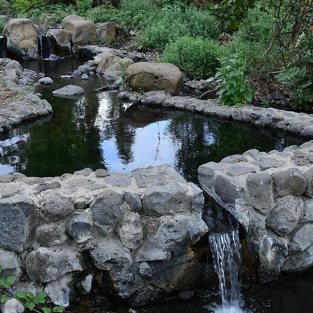 צילום נוף של בריכת אבן טבעית ומפל מים קטן הזורם ביניהן, מוקפים בצמחייה ירוקה ועשירה. הצילום מציג קומפוזיציה המדגישה את המרקם המחוספס של הסלעים אל מול תנועת המים הזורמים. התאורה הטבעית והרכה מדגישה את גווני הירוק והמים, ויוצרת אווירה שלווה ורגועה בלב הטבע.