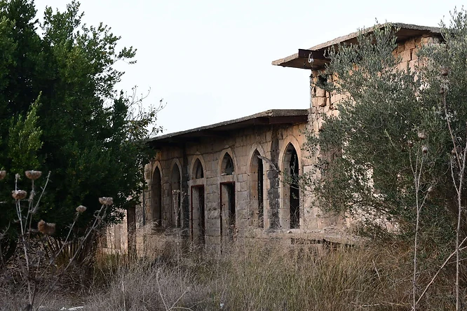 בתמונה נראה מבנה אבן עתיק ונטוש בעל קשתות מחודדות המשתלב בנוף כפרי. הצילום שבוצע בעזרת עדשת 35 מ"מ, מדגיש את הטקסטורה של אבני המבנה ואת הצמחייה הפראית הסובבת אותו. תאורה רכה מלטפת את החזית, בעוד עומק השדה מפריד יפה בין אלמנטים קדמיים של קוצים לבין המבנה ההיסטורי המרשים בדרכו.