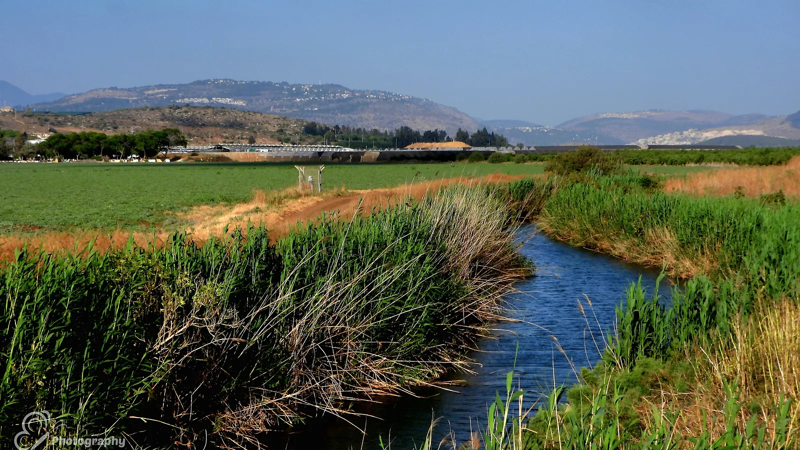 תמונת המקום