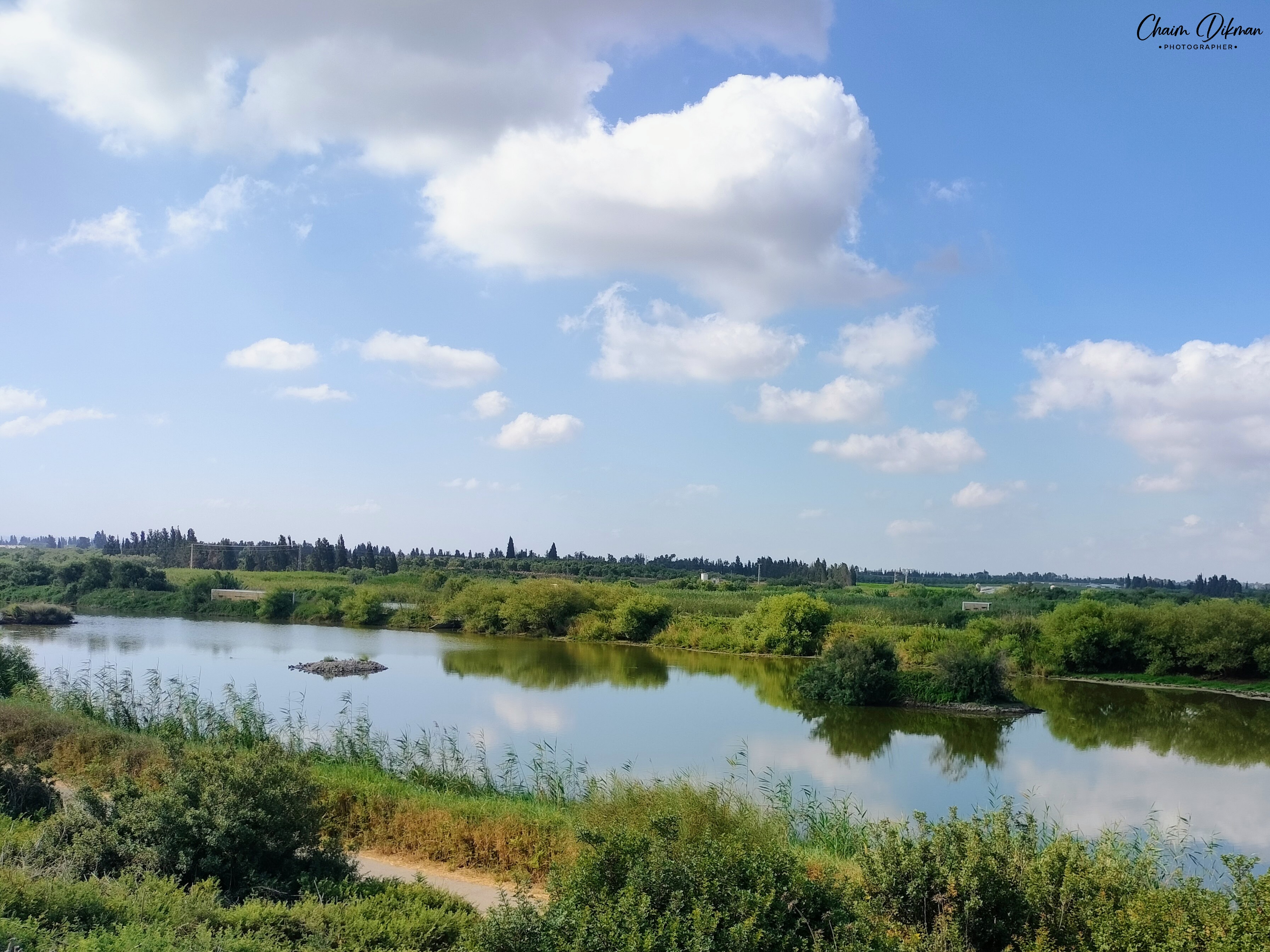 נוף פסטורלי ורגוע נפרס באגמון חפר, שבו מימי הבריכה השקטים משקפים את השמיים הכחולים וענני הקיץ הלבנים. במרכז המים ניצבת נקודה קטנה המזוהה כעוף מים, הנטועה בתוך סביבה ירוקה ושופעת צמחיית גדות. התאורה הטבעית והרכה מדגישה את גווני הירוק והכחול, ויוצרת אווירה שלווה ומרחבית בטבע המקומי.