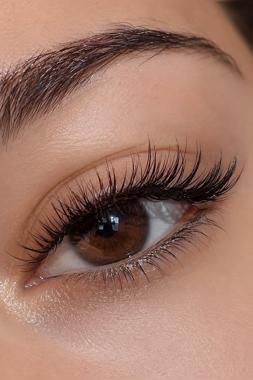 Lashes / Cils
