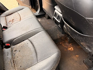 Mold & mildew on rear seats and carpet — before