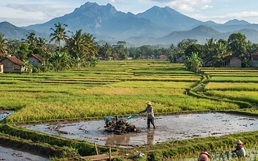Koperasi Desa Banten Dorong Produk Pertanian Tembus Pasar Ritel