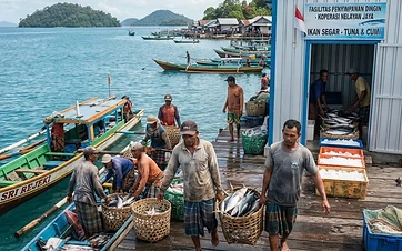 Peluang Ekspor Ikan Segar dari Koperasi Desa di Kepulauan Riau