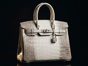 Hermès Birkin 25 Himalaya
