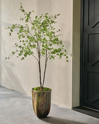 Kunstplanten & bomen