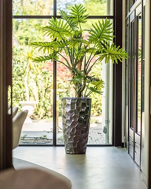 Interieurbeplanting