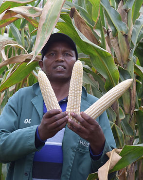 Grace Wanjiru